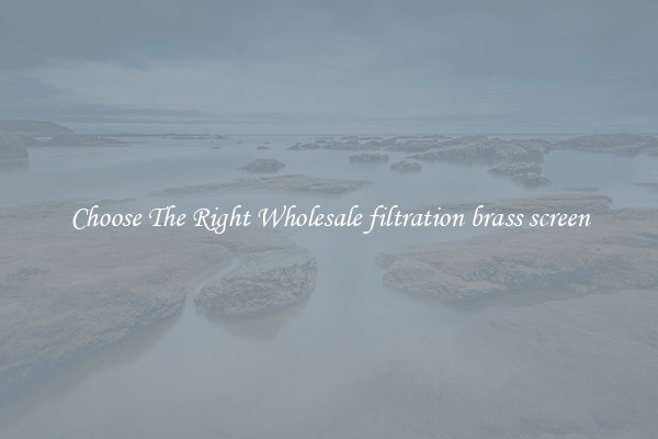 Choose The Right Wholesale filtration brass screen