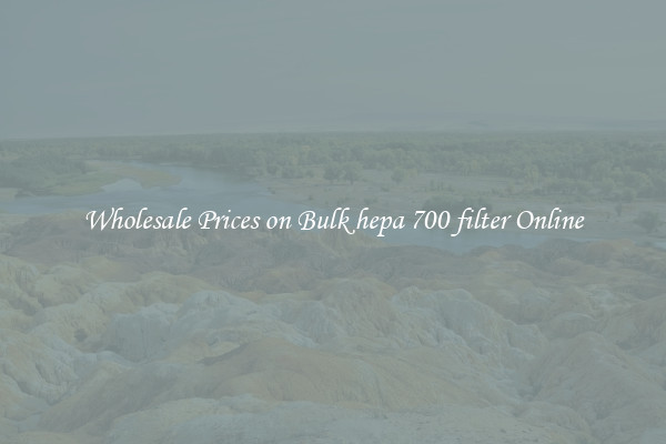 Wholesale Prices on Bulk hepa 700 filter Online