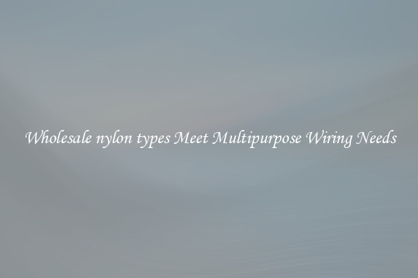 Wholesale nylon types Meet Multipurpose Wiring Needs