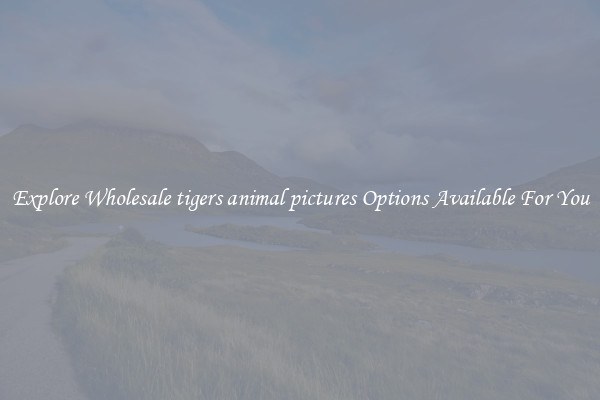 Explore Wholesale tigers animal pictures Options Available For You