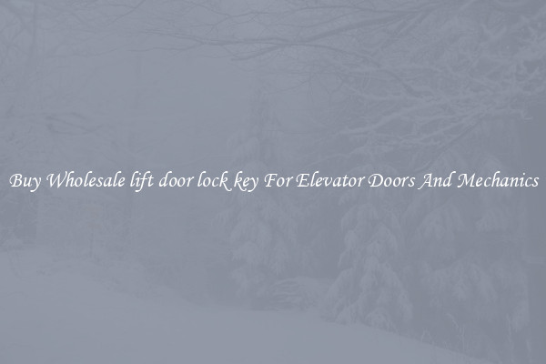 Buy Wholesale lift door lock key For Elevator Doors And Mechanics