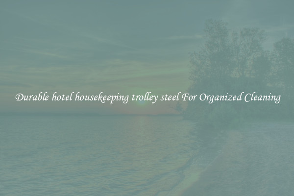 Durable hotel housekeeping trolley steel For Organized Cleaning