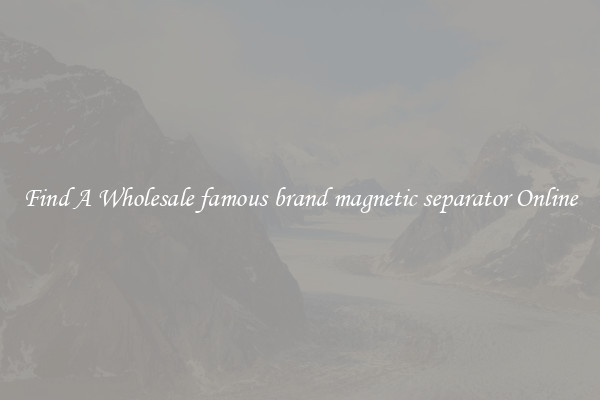 Find A Wholesale famous brand magnetic separator Online