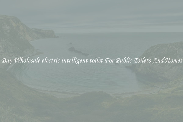 Buy Wholesale electric intelligent toilet For Public Toilets And Homes