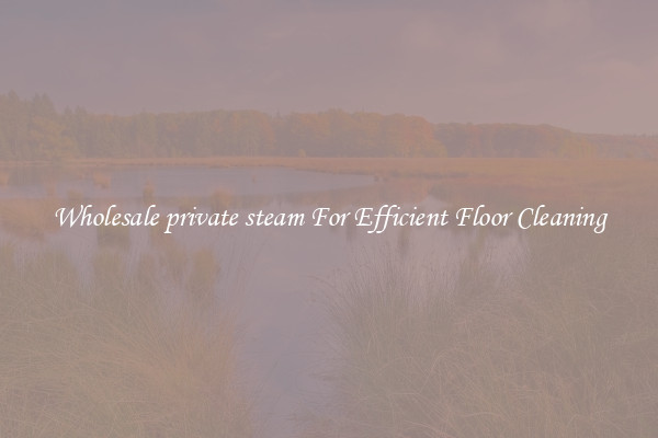 Wholesale private steam For Efficient Floor Cleaning