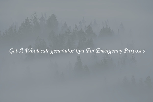 Get A Wholesale generador kva For Emergency Purposes