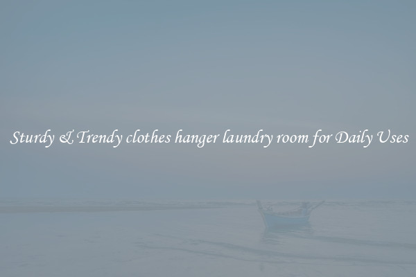 Sturdy & Trendy clothes hanger laundry room for Daily Uses