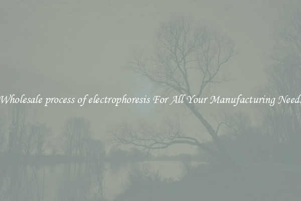 Wholesale process of electrophoresis For All Your Manufacturing Needs