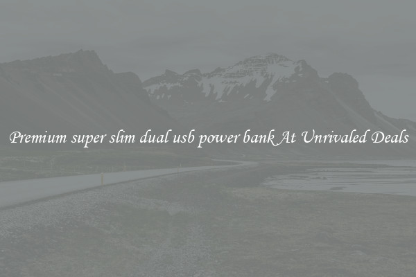 Premium super slim dual usb power bank At Unrivaled Deals