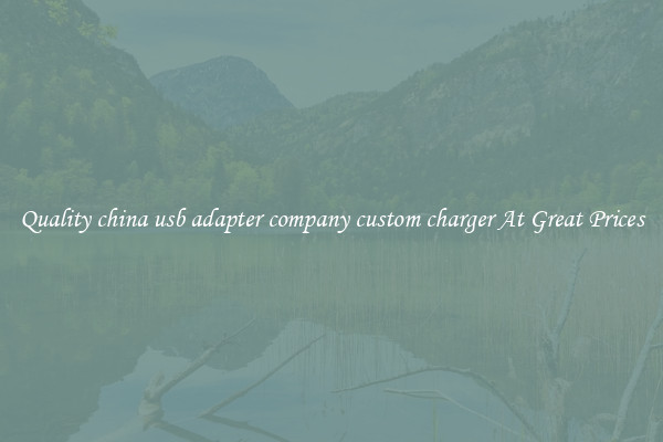 Quality china usb adapter company custom charger At Great Prices