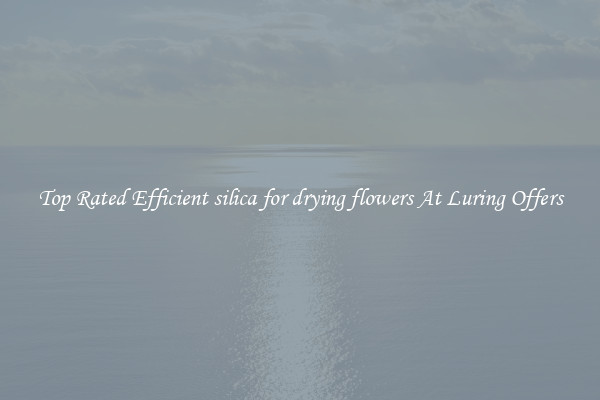 Top Rated Efficient silica for drying flowers At Luring Offers