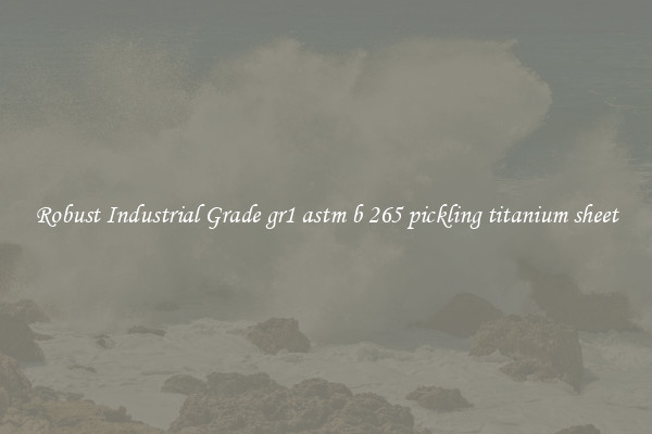 Robust Industrial Grade gr1 astm b 265 pickling titanium sheet