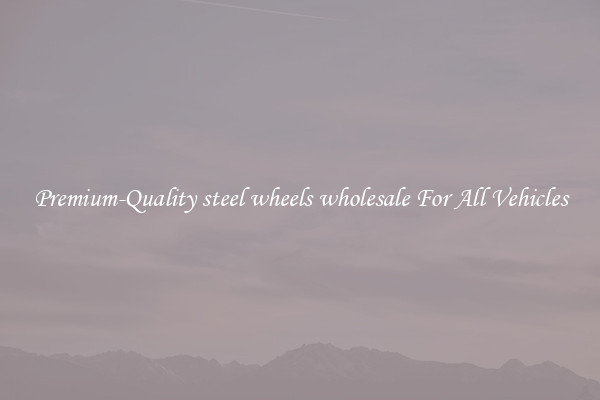Premium-Quality steel wheels wholesale For All Vehicles