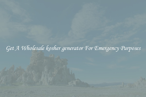 Get A Wholesale kosher generator For Emergency Purposes