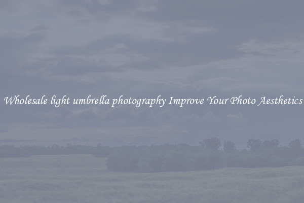 Wholesale light umbrella photography Improve Your Photo Aesthetics