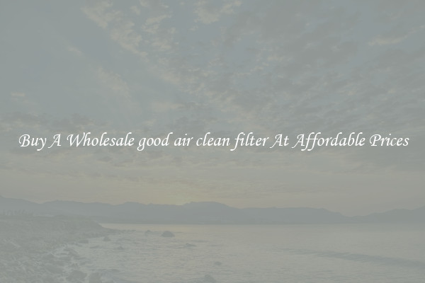 Buy A Wholesale good air clean filter At Affordable Prices