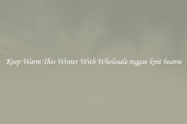 Keep Warm This Winter With Wholesale reggae knit beanie
