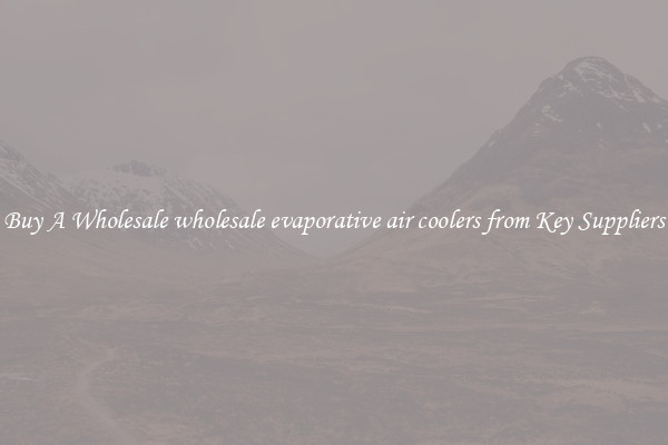 Buy A Wholesale wholesale evaporative air coolers from Key Suppliers