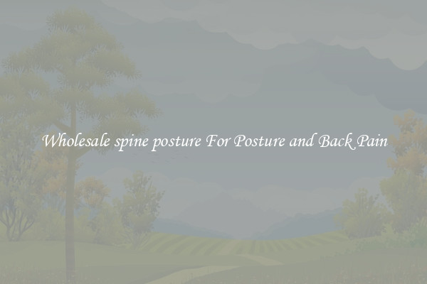 Wholesale spine posture For Posture and Back Pain