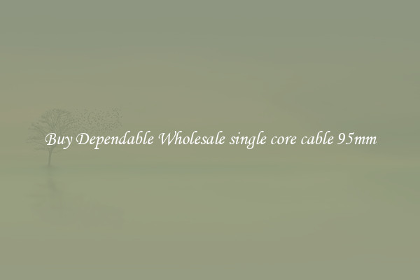 Buy Dependable Wholesale single core cable 95mm