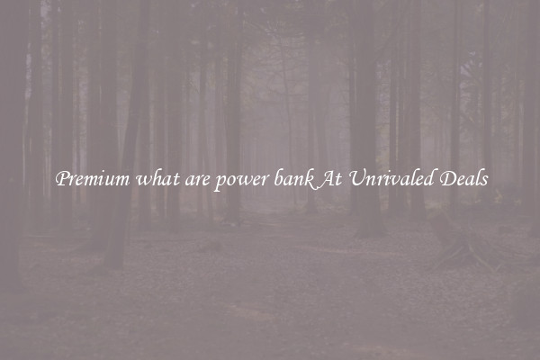 Premium what are power bank At Unrivaled Deals