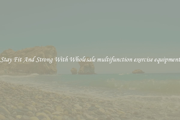 Stay Fit And Strong With Wholesale multifunction exercise equipment