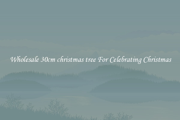 Wholesale 30cm christmas tree For Celebrating Christmas